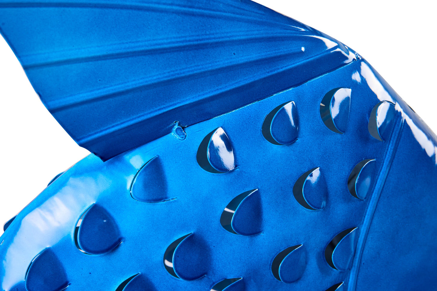 Honi - Pesce Boccadoro Bluette Daddy