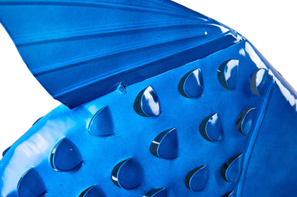 Honi - Pesce Boccadoro Bluette Daddy