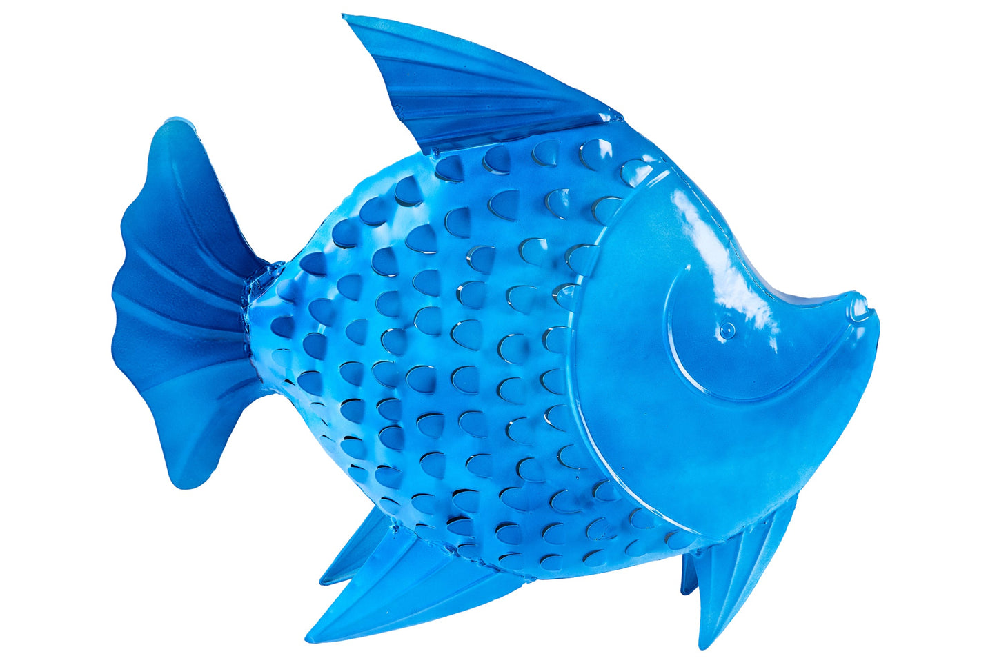 Honi - Pesce Poccadoro Bluette Mamy