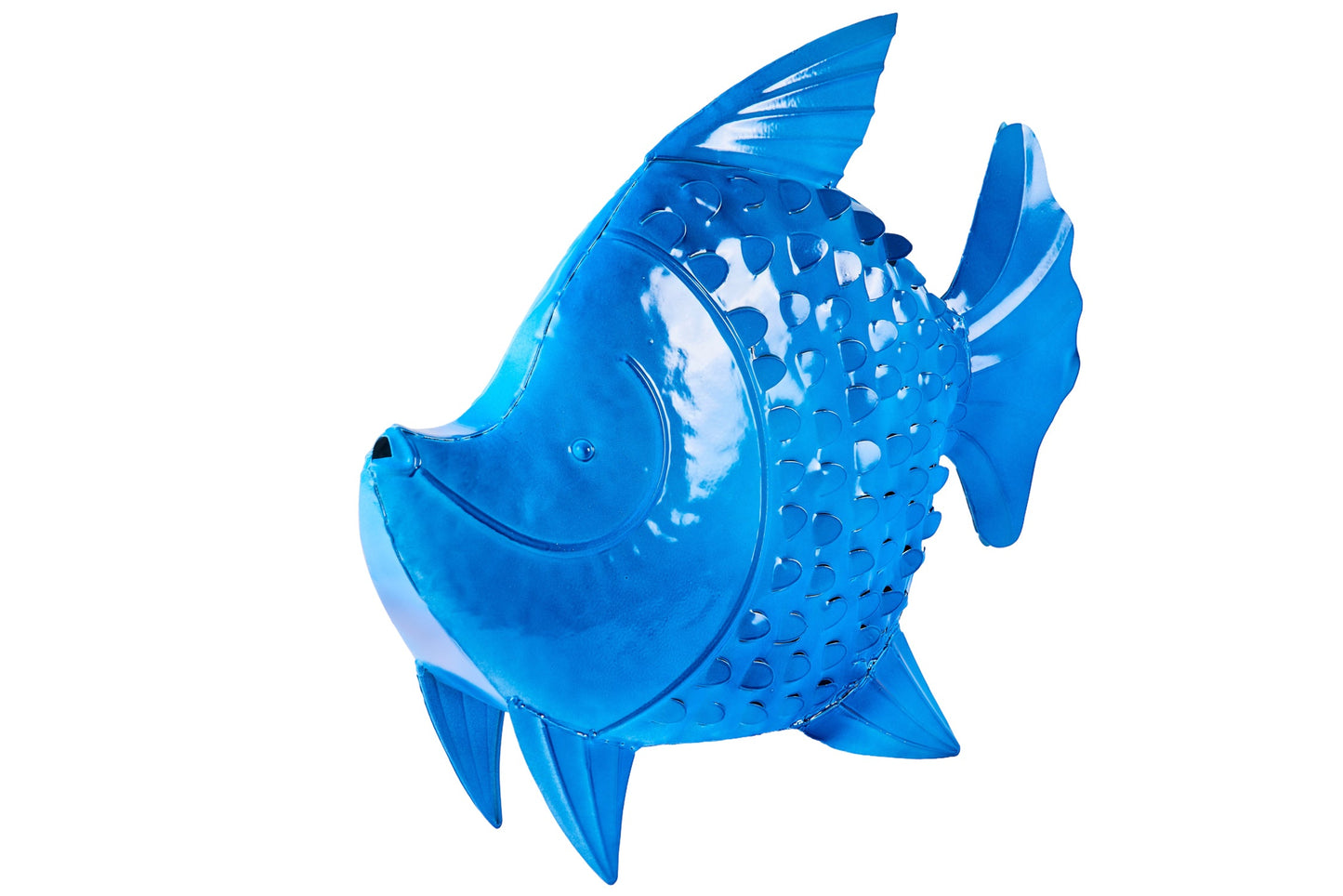 Honi - Pesce Poccadoro Bluette Mamy