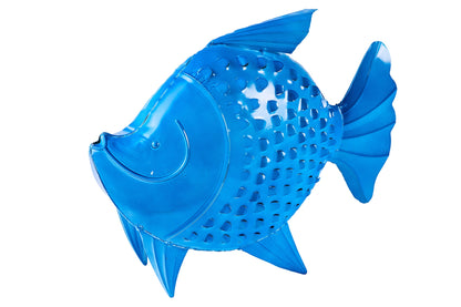 Honi - Pesce Poccadoro Bluette Bambini