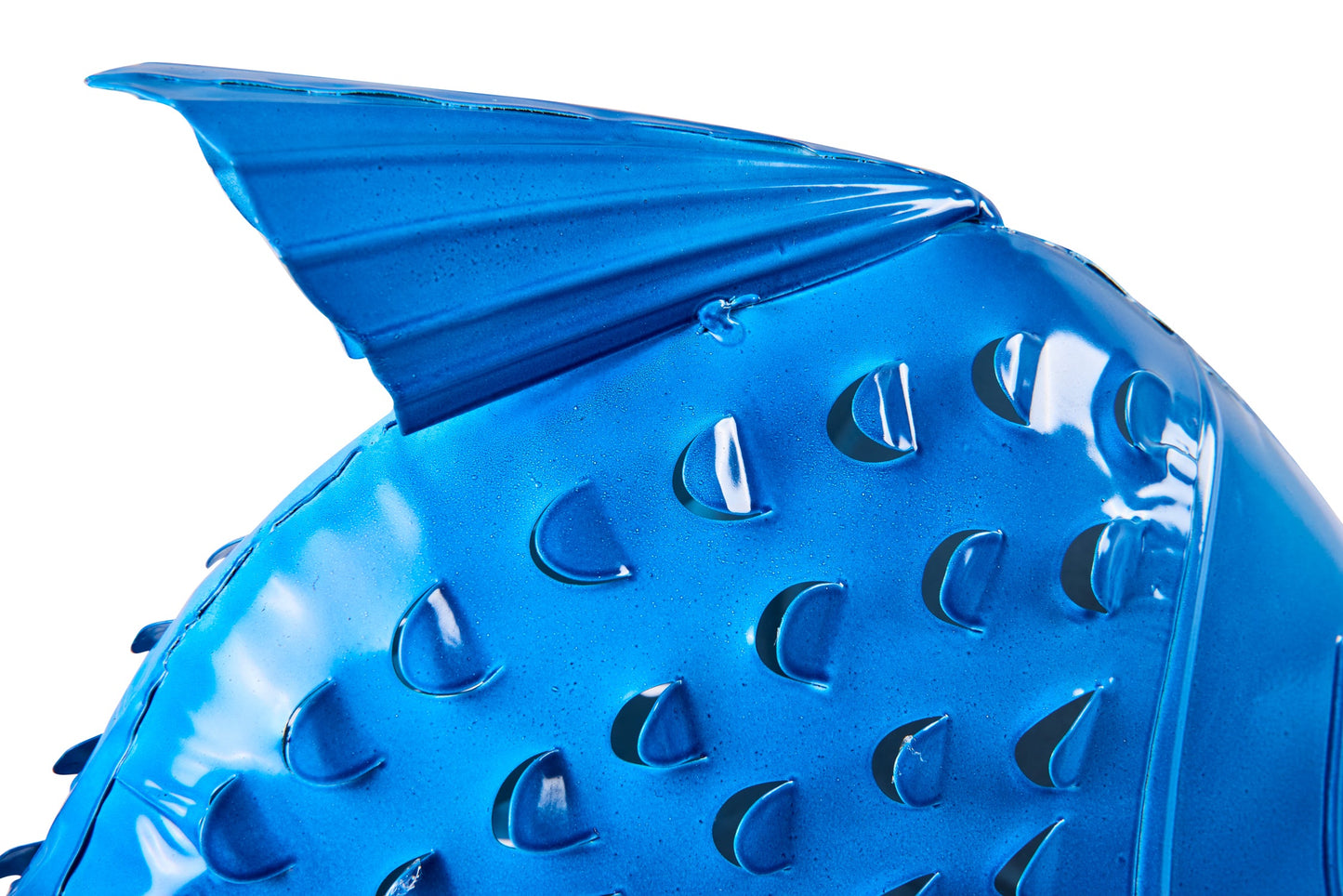 Honi - Pesce Poccadoro Bluette Bambini