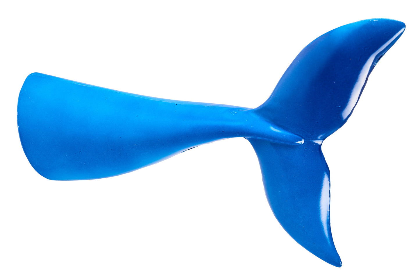 Honi - Coda Balena Bluette