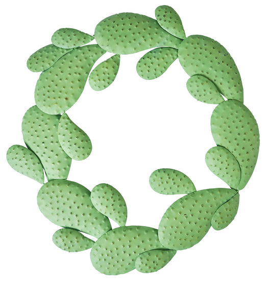 Decor cactus rotondo