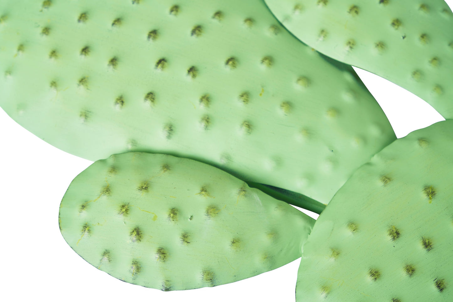 Decor cactus rotondo