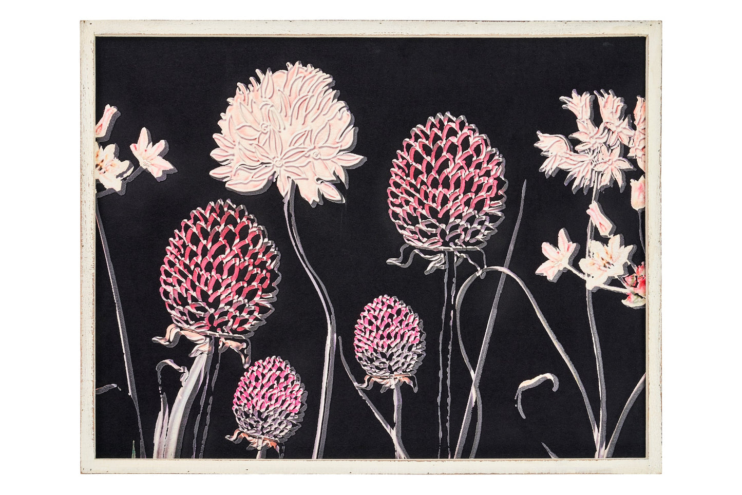 Natura morta - quadro fondo nero