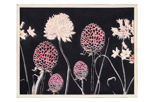 Natura morta - quadro fondo nero