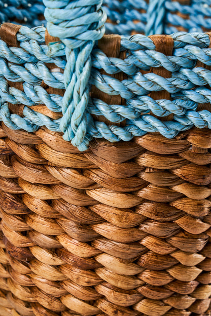 Primavera - Cestino Bordo Celeste