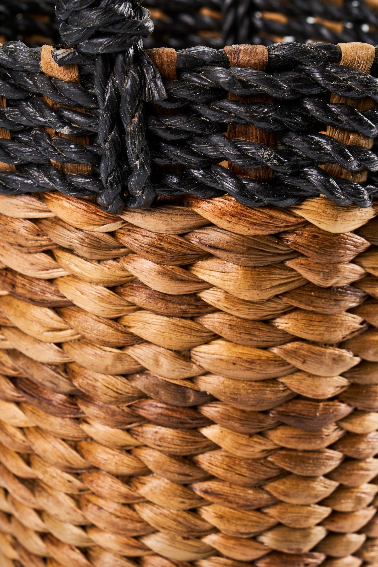 Primavera - Cestino Bordo Nero