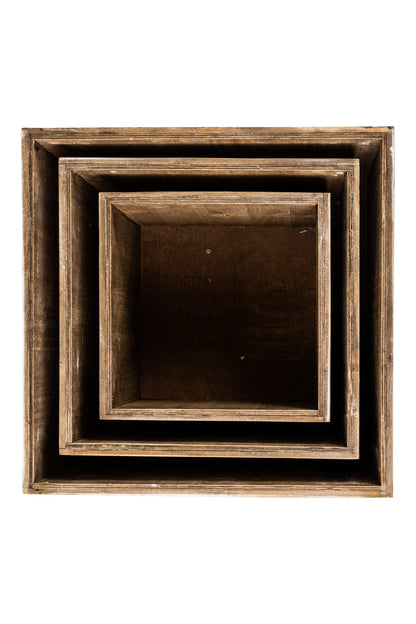 Utilità - Set 3 Cassette Porta Piante