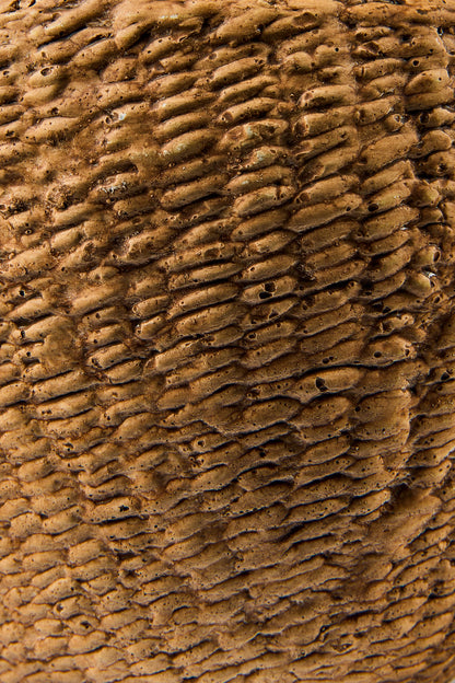 Cemento Vimini - Vaso Disegno Sea Grass Misura Media