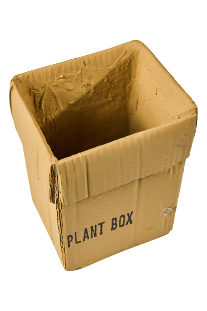 Scatola Cemento - Vaso a Imballaggio Scatola Cartone in Cemento 17cm