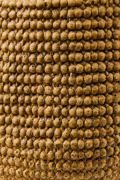 Juta Cemento - Vaso Disegno Juta Bucle Misura 16X13