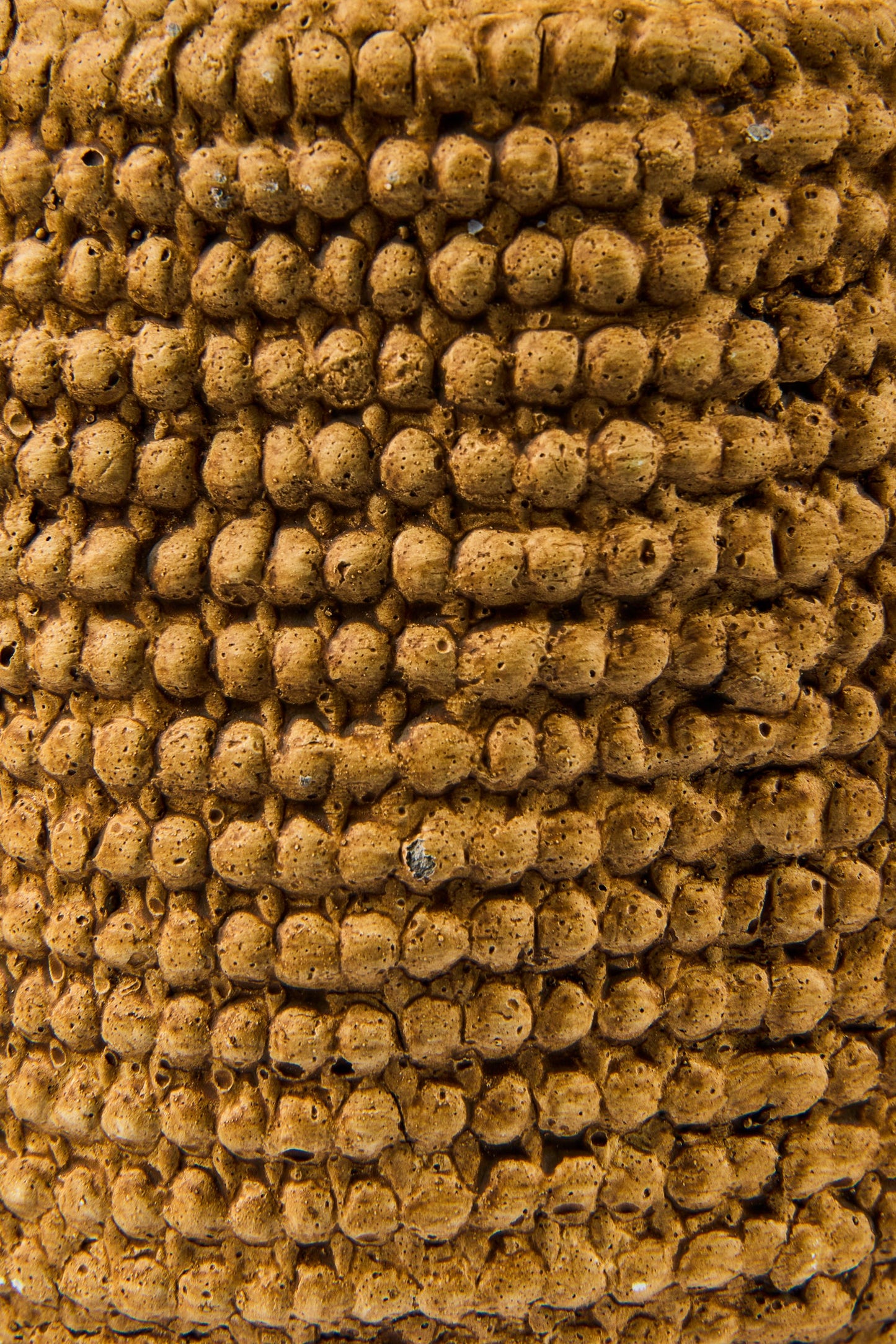 Juta Cemento - Vaso Disegno Juta Bucle Misura 13X11